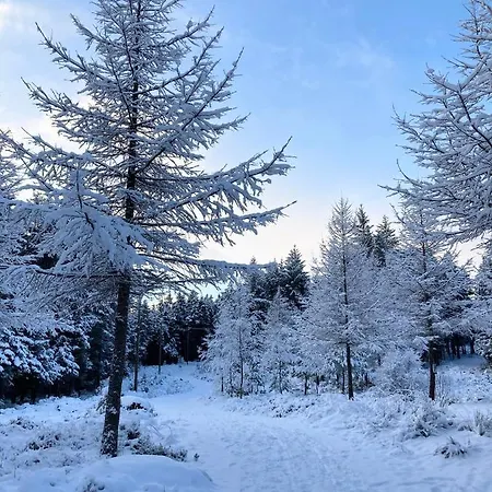 Parken Terrasse Kopervik